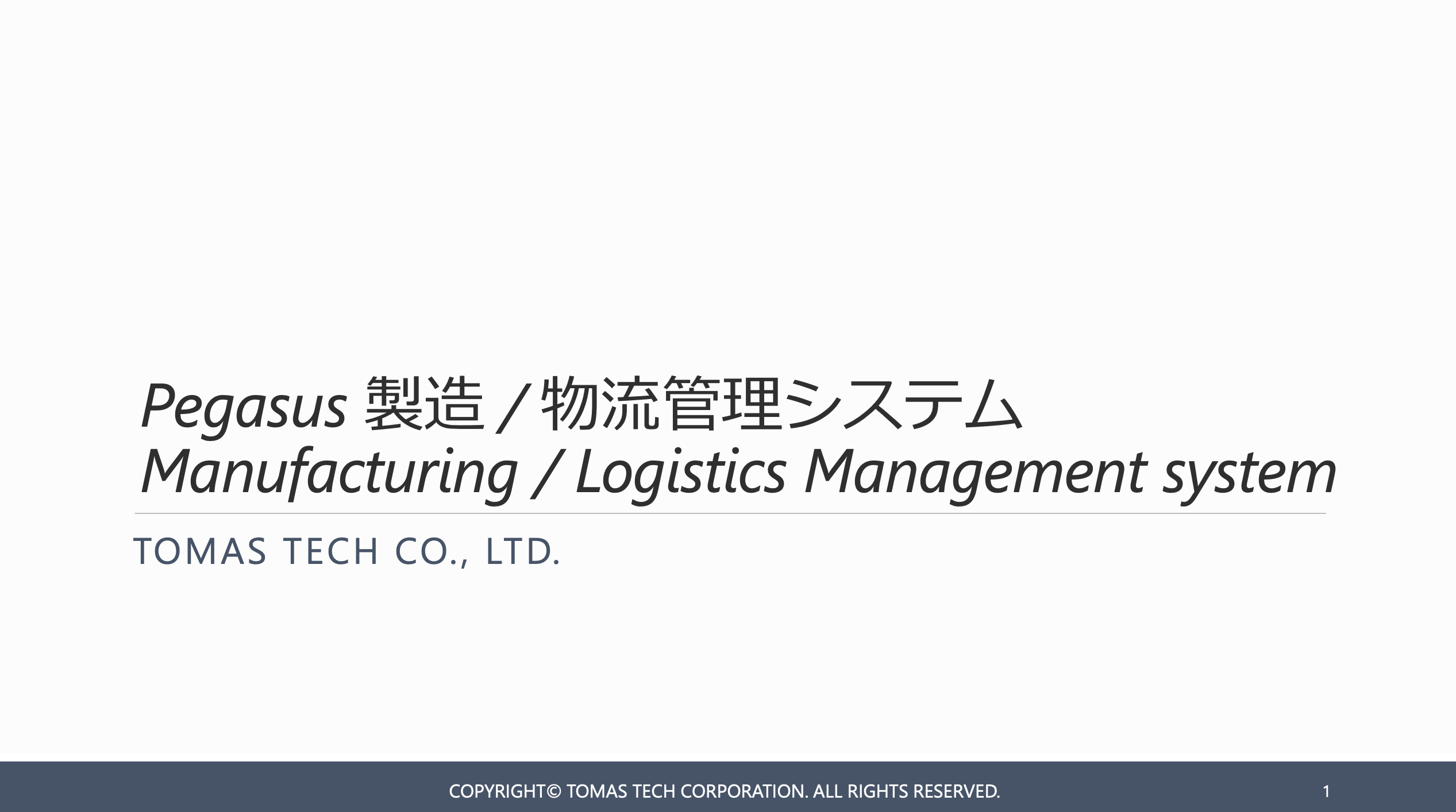 PEGASUS Weight Measurement Support System Detailed Document Japanese ...